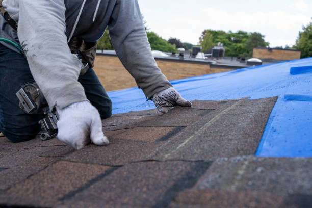 Best Flat Roof Repair Services  in Mishawaka, IN